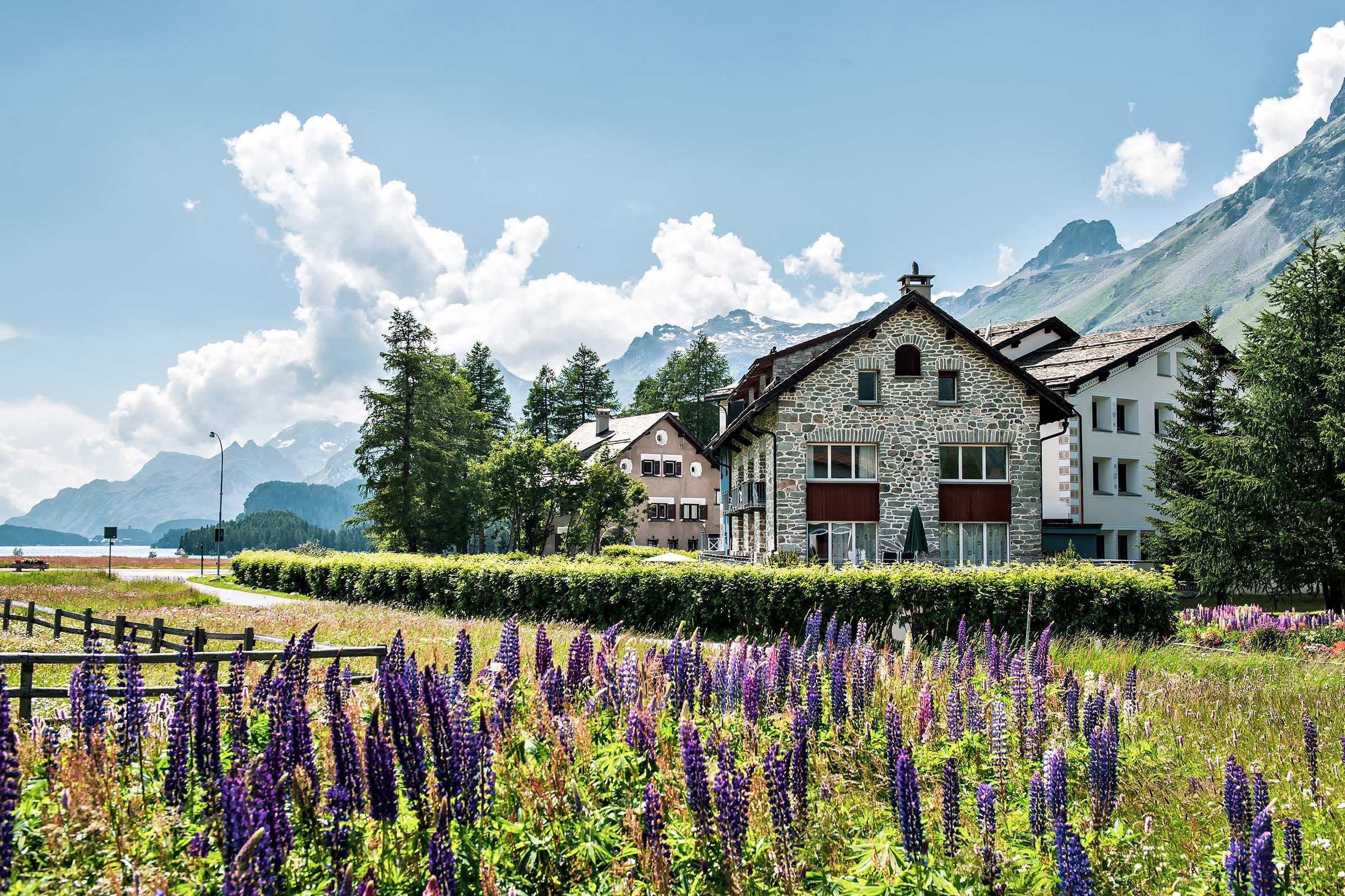 Im Engadin zu Hause:
Elegante Ferienwohnungen
an bester Lage in Sils Baselgia
